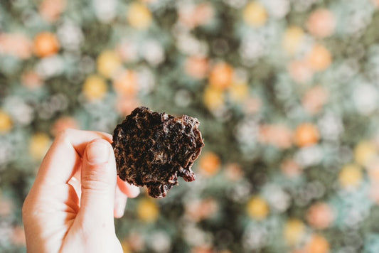 Dehydrated Roo Crisps (Kangaroo)